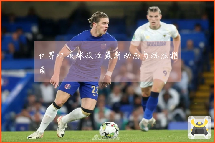 世界杯滚球投注最新动态与玩法指南