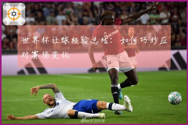 世界杯让球经验总结：如何巧妙应对赛场变化