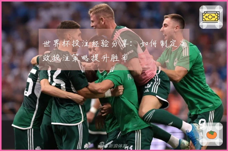 世界杯投注经验分享：如何制定高效投注策略提升胜率