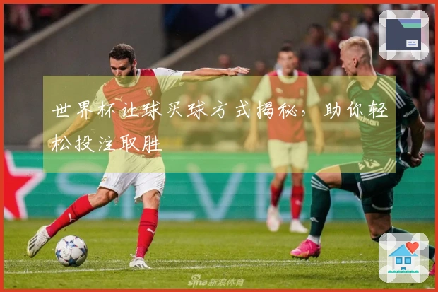 世界杯让球买球方式揭秘，助你轻松投注取胜