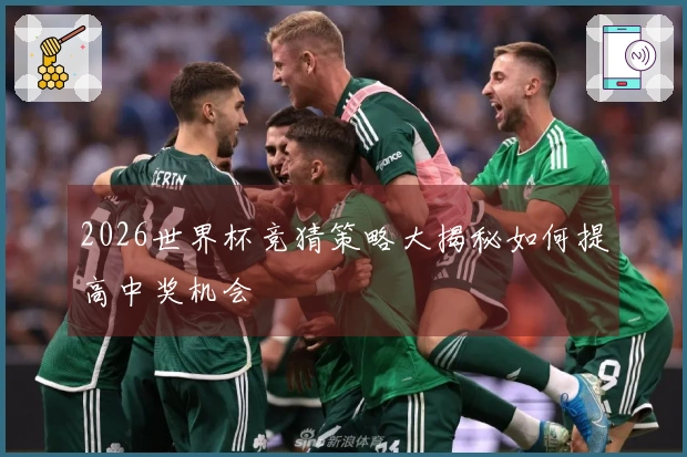 2026世界杯竞猜策略大揭秘如何提高中奖机会
