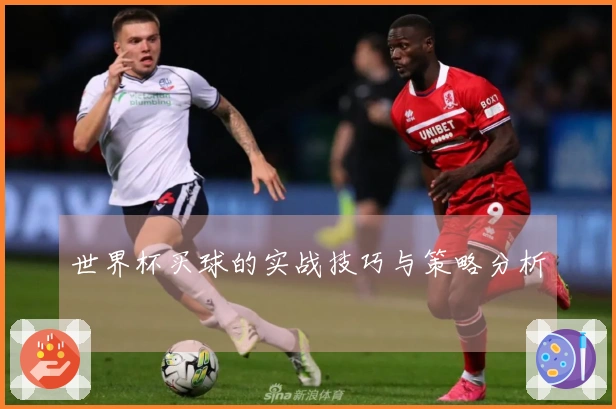 世界杯买球的实战技巧与策略分析
