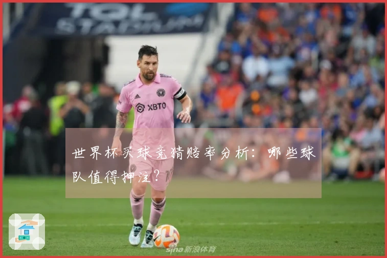 世界杯买球竞猜赔率分析：哪些球队值得押注？