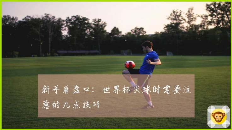 新手看盘口：世界杯买球时需要注意的几点技巧