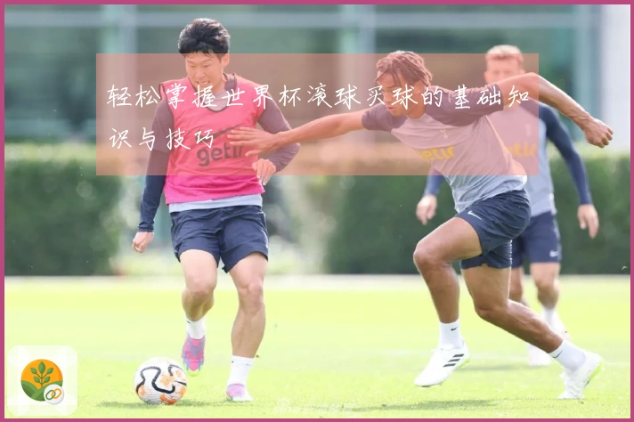 轻松掌握世界杯滚球买球的基础知识与技巧