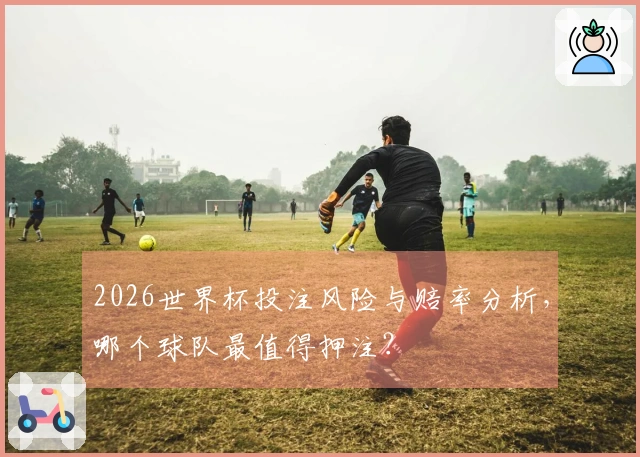 2026世界杯投注风险与赔率分析，哪个球队最值得押注？