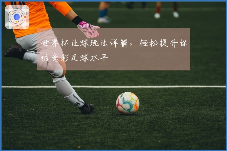 世界杯让球玩法详解，轻松提升你的竞彩足球水平