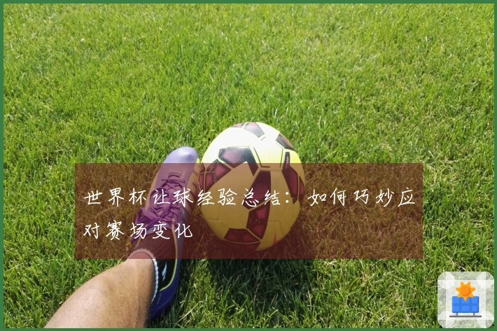 世界杯让球经验总结：如何巧妙应对赛场变化