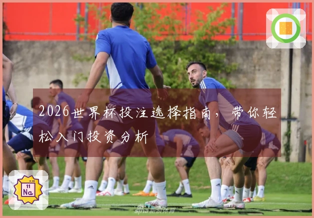 2026世界杯投注选择指南，带你轻松入门投资分析