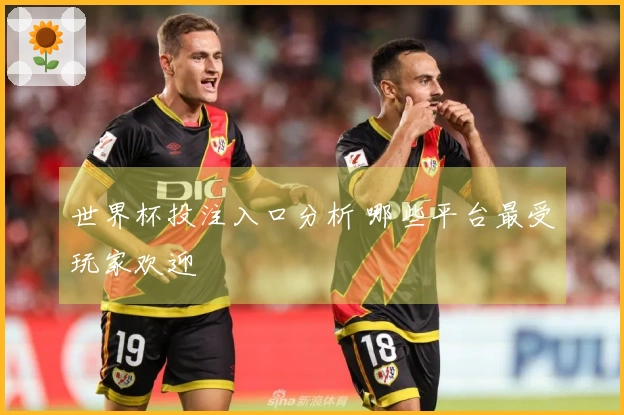 世界杯投注入口分析 哪些平台最受玩家欢迎