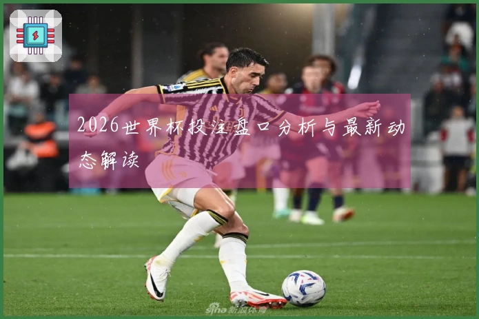 2026世界杯投注盘口分析与最新动态解读