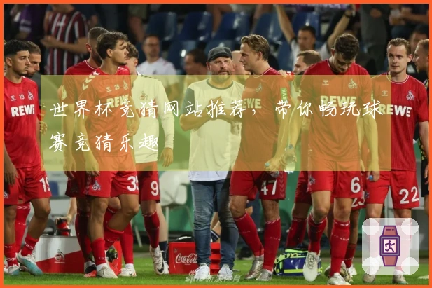 世界杯竞猜网站推荐，带你畅玩球赛竞猜乐趣