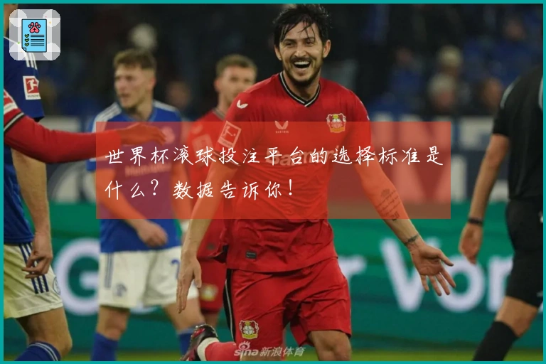 世界杯滚球投注平台的选择标准是什么？数据告诉你！