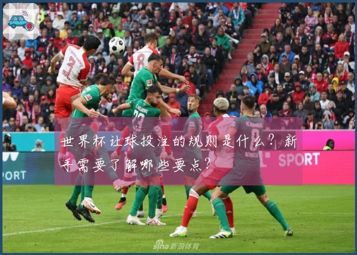 世界杯让球投注的规则是什么？新手需要了解哪些要点？