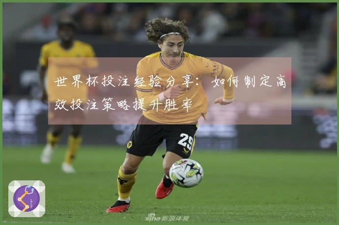 世界杯投注经验分享：如何制定高效投注策略提升胜率
