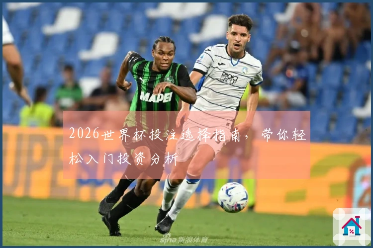 2026世界杯投注选择指南，带你轻松入门投资分析